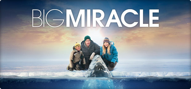 Big Miracle Scenery Contest