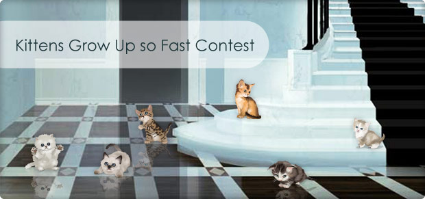 Pêt-à-Porter Kitten Contest