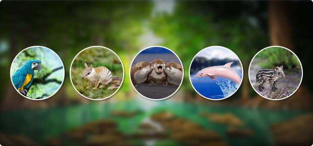 Endangered Species Quiz 3