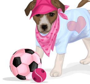 Jack The Dog