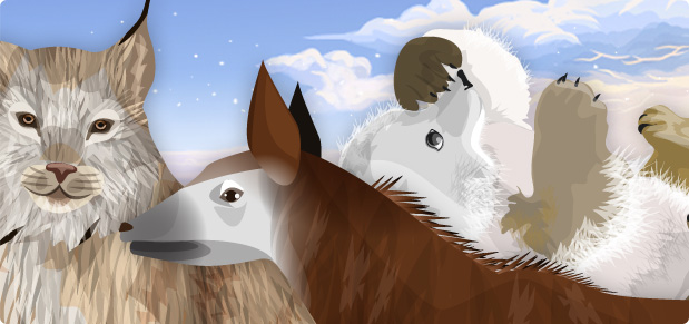 Mundo Animal