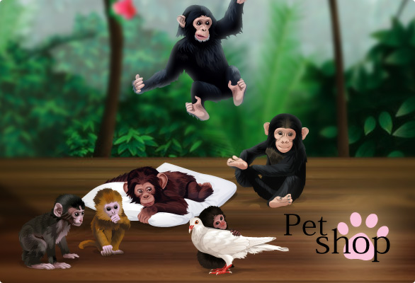 http://www.sdcdn.com/cms/i/sitemessages/bkg/upload/sm_Petshop_Monkeys.jpg