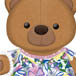 Brazilian Teddy Bear