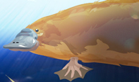 Duck-Billed Platypus