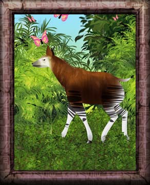 nr4_framedpicture
